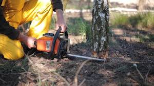 Best Soil Testing and Treatment  in Bladenboro, NC