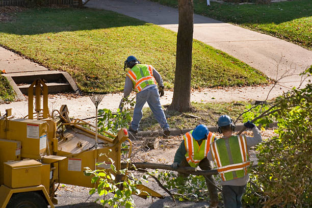 Best Palm Tree Trimming  in Bladenboro, NC